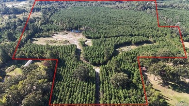 Lake O The Pines Acreage For Sale in Jefferson Texas