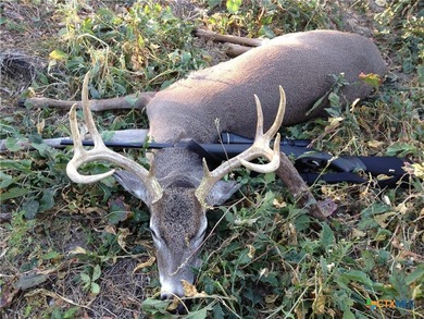 Discover 347.01 acres of pristine Central Texas countryside - photo 5