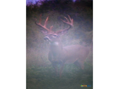 Discover 347.01 acres of pristine Central Texas countryside - photo 10