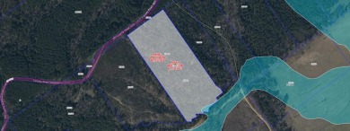 Lake Acreage For Sale in Elkhart, Texas