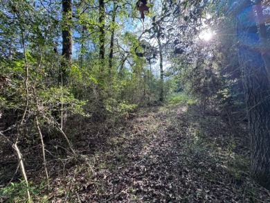 Waterfront Lot on Lake Livingston in Westwood Shores - photo 8