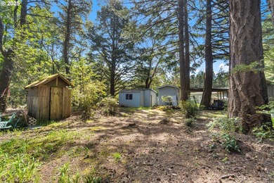 Charming multi-unit woodland retreat Near Paradise Point Beach & - photo 4