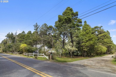 Charming multi-unit woodland retreat Near Paradise Point Beach & - photo 5