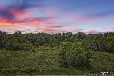 Canyon Lake Lot For Sale in Spring Branch Texas
