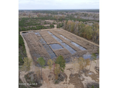 (private lake, pond, creek) Acreage For Sale in White Oak North Carolina