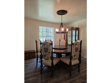 Beautifully Renovated 3-Bedroom Home on 0.75 Acres in Lone Star - photo 19