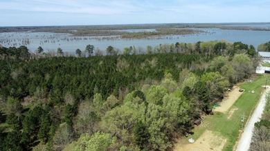 Land for sale in Ashdown Arkansas on Millwood Lake This property - photo 22