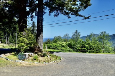 This spacious triple-wide manufactured home offers 3 bedrooms, 2 - photo 24