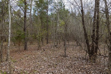 Land for sale in Ashdown Arkansas on Millwood Lake This property - photo 50
