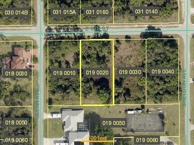Lehigh Acres Area Lot For Sale in Lehigh Acres Florida