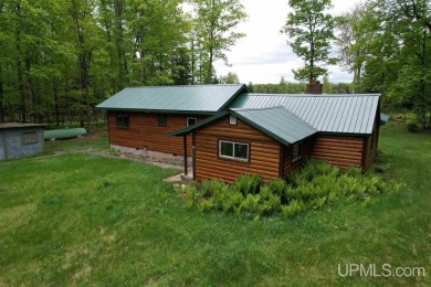 Sundog Lake Home For Sale in Republic Michigan