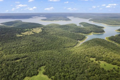 Lake Home For Sale in Protem, Missouri