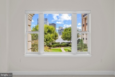 Luxury water-view condominium at The Ritz-Carlton Residences - photo 13