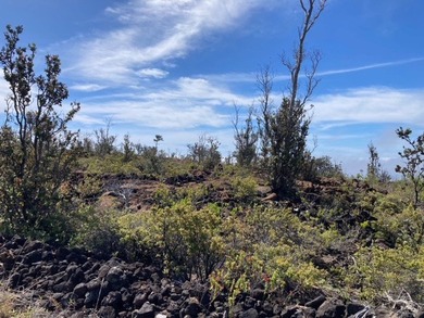 Hawaiian Ocean View Estates - nicely forested ribbon lot (89 ft - photo 21