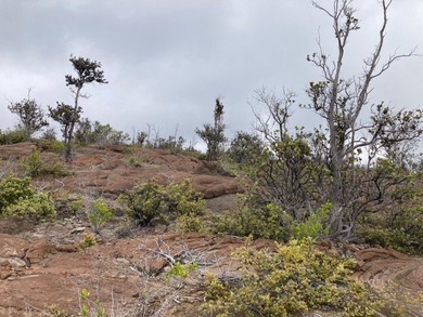 Hawaiian Ocean View Estates - nicely forested ribbon lot (89 ft - photo 22