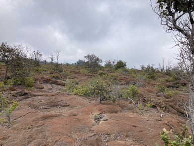 Hawaiian Ocean View Estates - nicely forested ribbon lot (89 ft - photo 23