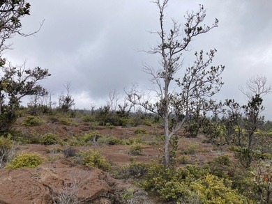 Hawaiian Ocean View Estates - nicely forested ribbon lot (89 ft - photo 24