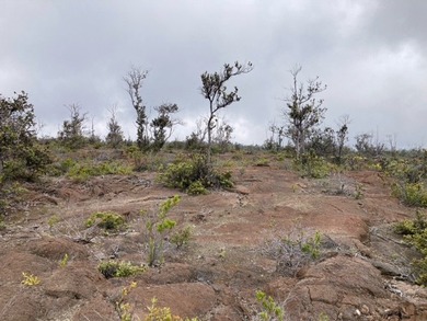 Hawaiian Ocean View Estates - nicely forested ribbon lot (89 ft - photo 26