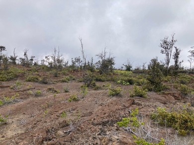 Hawaiian Ocean View Estates - nicely forested ribbon lot (89 ft - photo 27