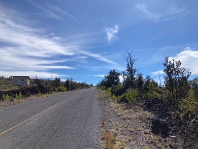 Hawaiian Ocean View Estates - nicely forested ribbon lot (89 ft - photo 29