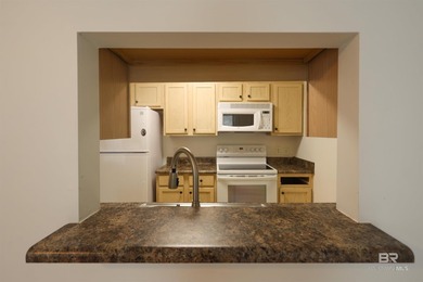 Gulf Shores Condo Priced to Sell Quickly!!! 2 bed/2.5 bath - photo 10