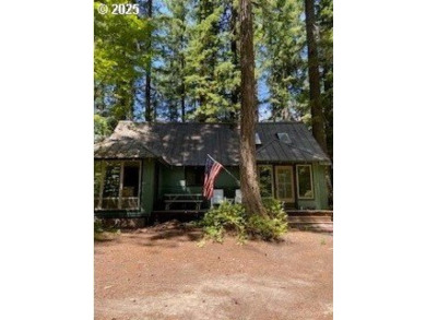 Lake Home For Sale in Cougar, Washington
