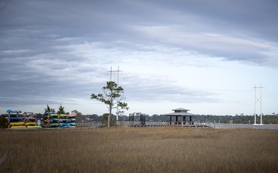 Welcome to 2409 Georgia Guard Drive, where timeless Lowcountry - photo 45