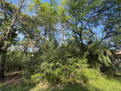 Waterfront Lot on Lake Livingston in Westwood Shores - photo 4