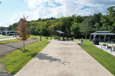 Lake Lot For Sale in Morganton, Georgia