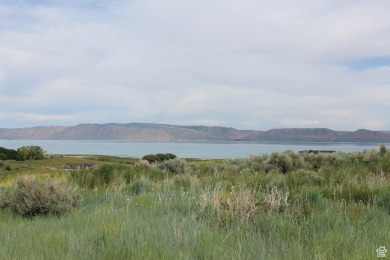 Lake Lot For Sale in Fish Haven, Idaho