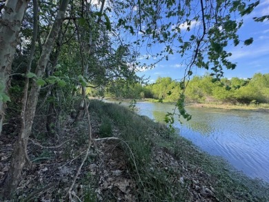 Waterfront Lot on Lake Livingston in Westwood Shores - photo 10