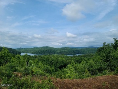Watts Bar Lake Lot For Sale in Rockwood Tennessee