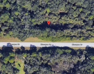 SELLER FINANCING !!!! This property is a great spot to build - photo 3
