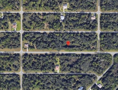 SELLER FINANCING !!!! This property is a great spot to build - photo 4