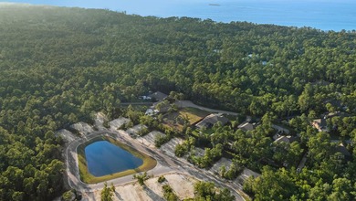 Ready to build your dream home? This is your opportunity. The - photo 8