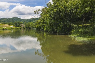 150+/- Acres on the Clinch River -- Unrestricted Mountain Land - photo 3