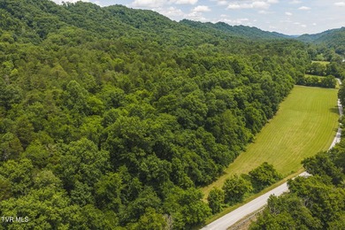 150+/- Acres on the Clinch River -- Unrestricted Mountain Land - photo 8
