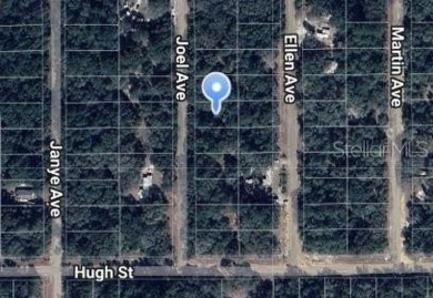Lake Lot For Sale in Interlachen, Florida