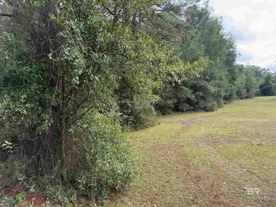 Prime location! This buildable lot offers approximately - photo 2
