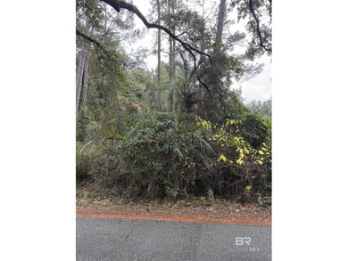 Prime location! This buildable lot offers approximately - photo 4