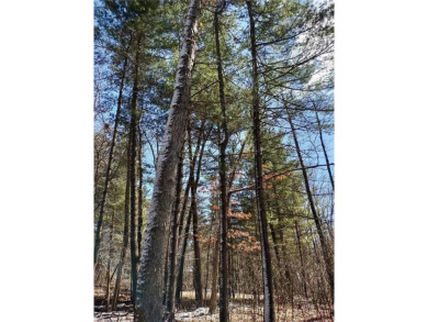 Lake Eau Galle Lot For Sale in Eau Galle Wisconsin