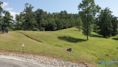 Weiss Lake Acreage For Sale in Cedar Bluff Alabama