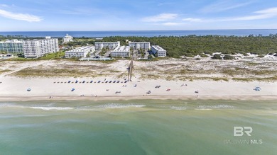 Welcome to an exceptional opportunity at Gulf Shores Plantation - photo 2