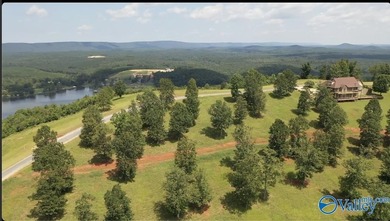 Enjoy extravagant views from the gated community of The Bluffs - photo 2
