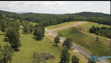Enjoy extravagant views from the gated community of The Bluffs - photo 3
