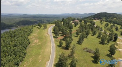 Enjoy extravagant views from the gated community of The Bluffs - photo 4