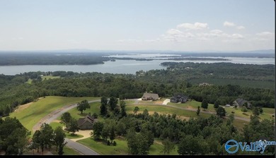 Enjoy extravagant views from the gated community of The Bluffs - photo 6