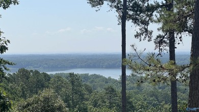Enjoy extravagant views from the gated community of The Bluffs - photo 7