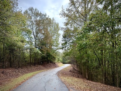 Black Warrior River Acreage For Sale in Sipsey Alabama