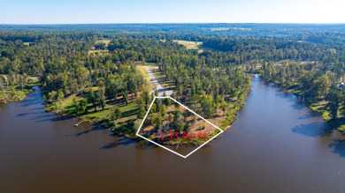 Big Rock Lake Lot For Sale in Hallsville Texas